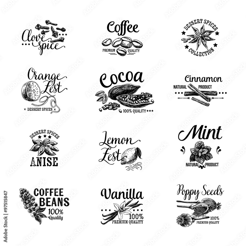 Vector set of Dessert Spices logos, labels, badges and design el