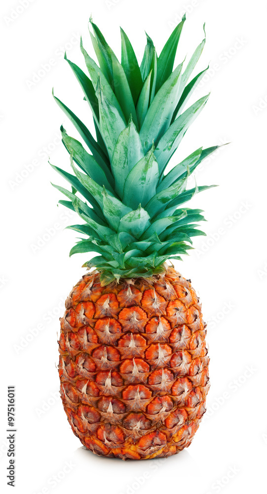 Fototapeta premium Ripe whole tasty pineapple close-up isolated on a white background.