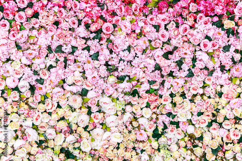 Rose flowers background, texture