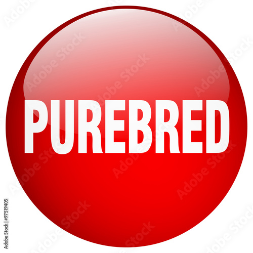 purebred red round gel isolated push button
