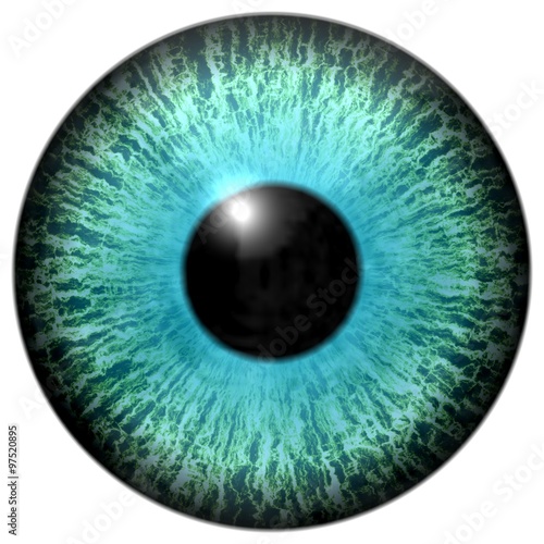 Isolated cyan blue eye illustration