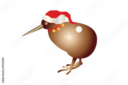 Christmas Kiwi