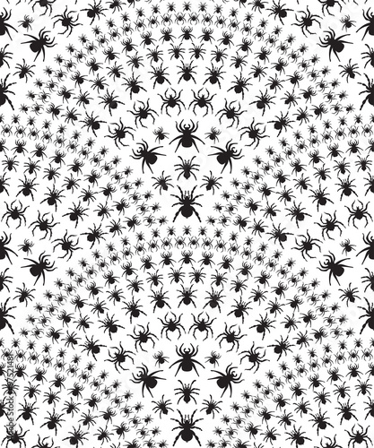 Vector seamless pattern with  black spiders on a white background. Spiders are arranged in the shape of a fan.