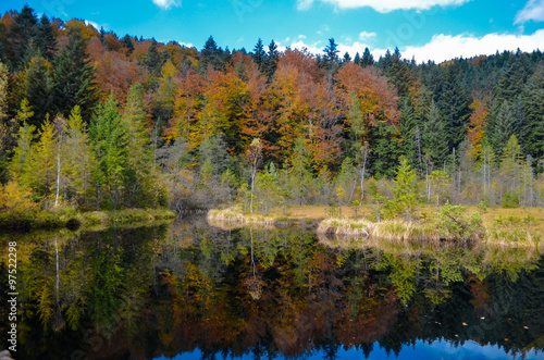 Dead lake in the forest (Crane lake), сarpathian mountains, Skole, Uktaine