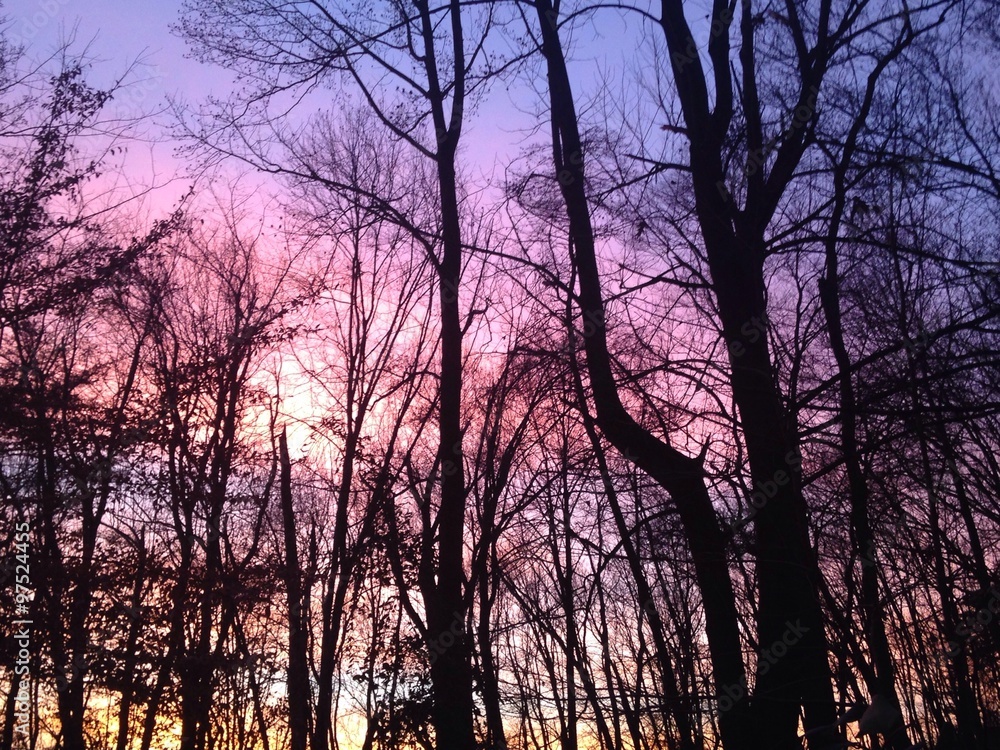 dramatic December sky at sunset dramatic December sky at sunset