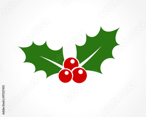 Holly berry icon