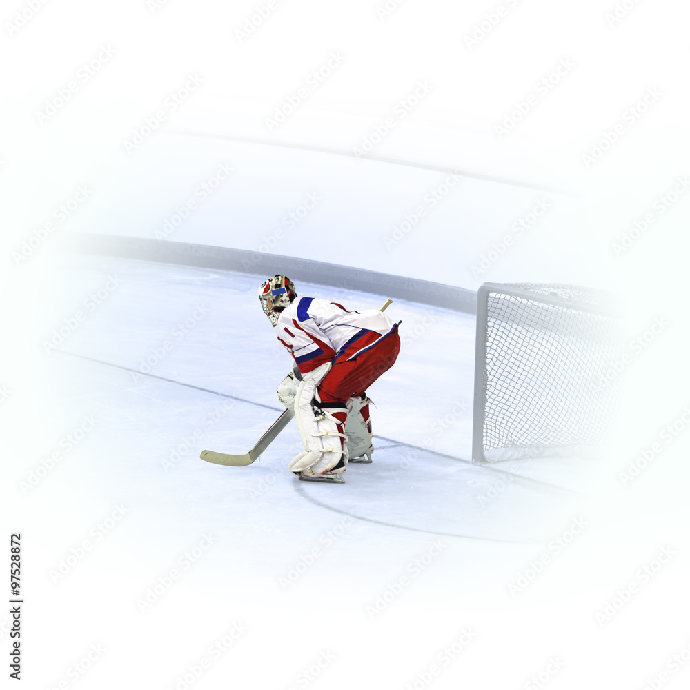 Fototapeta premium Eishockey