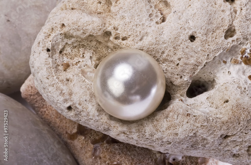 Φωτογραφία Large White Pearl.