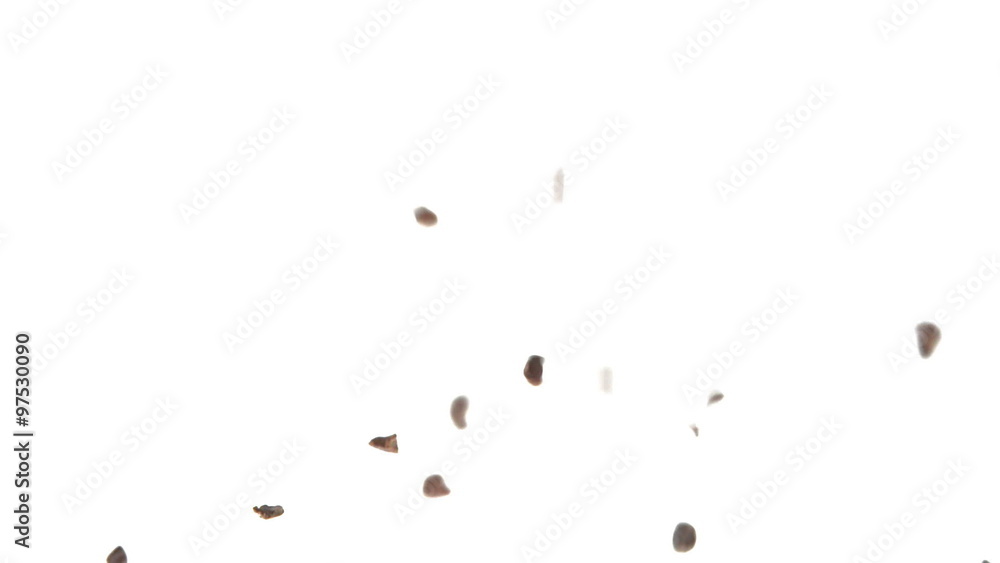 Super Slow Motion Cacao Nibs Falling on White Surface Super Slow Motion Cacao Nibs Falling on White Surface