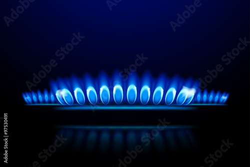 picture of gas5