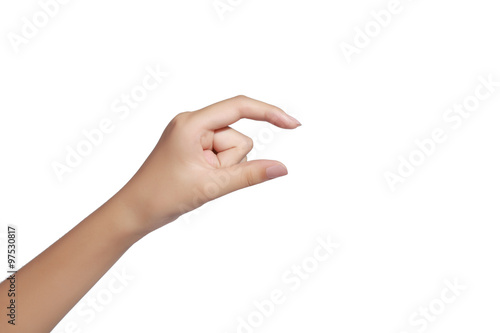 Female hands , Isolated on white.