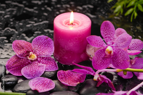 Pink orchid with plant with candle on black stones