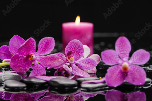 pink branch orchid with candle on therapy stones 