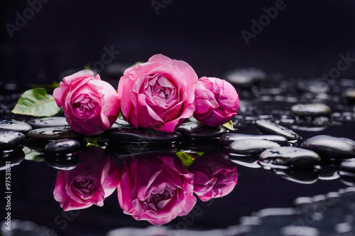 Still life with three rose and wet stones