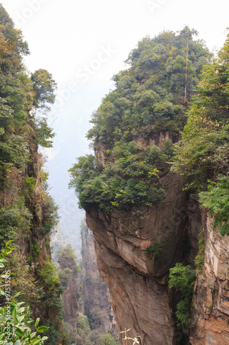 Zhangjiajie national park   tian zhi shan     Tianzi Mountain Nature Reserve   and fog   China