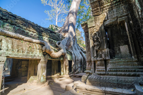 Ta Prohm temple in Siem Reap