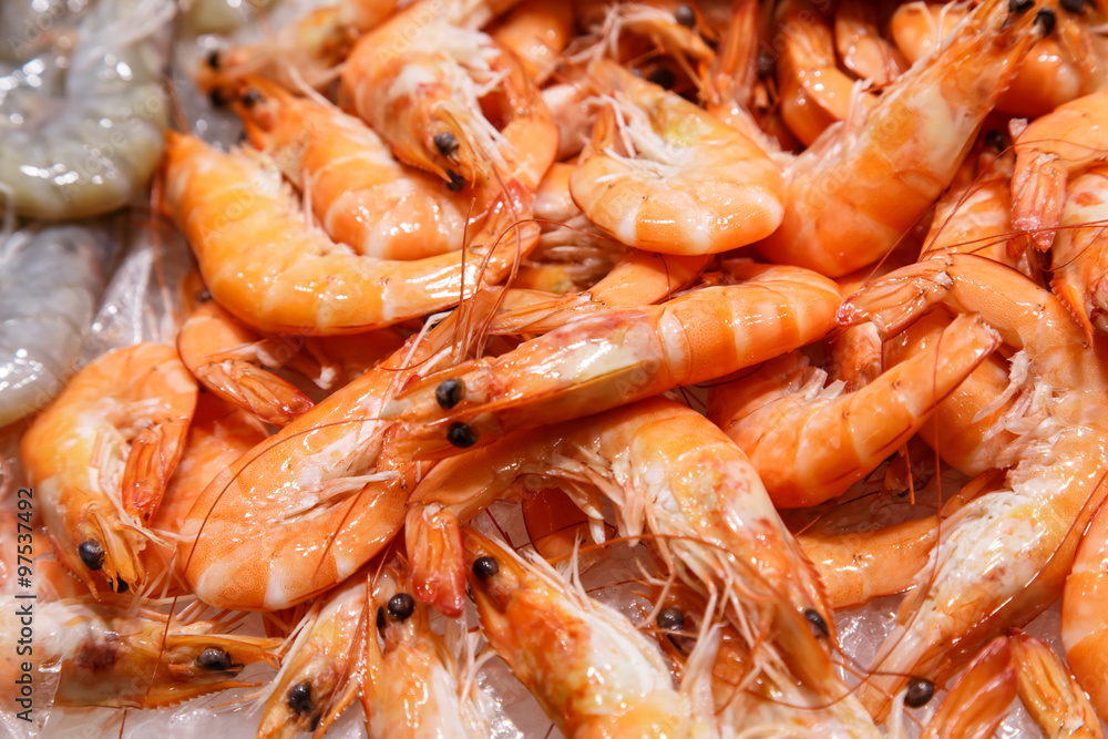fresh prawn on sale at market fresh prawn on sale at market