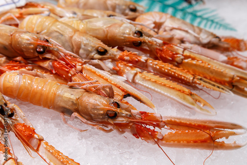 fresh Nephrops on sale at market