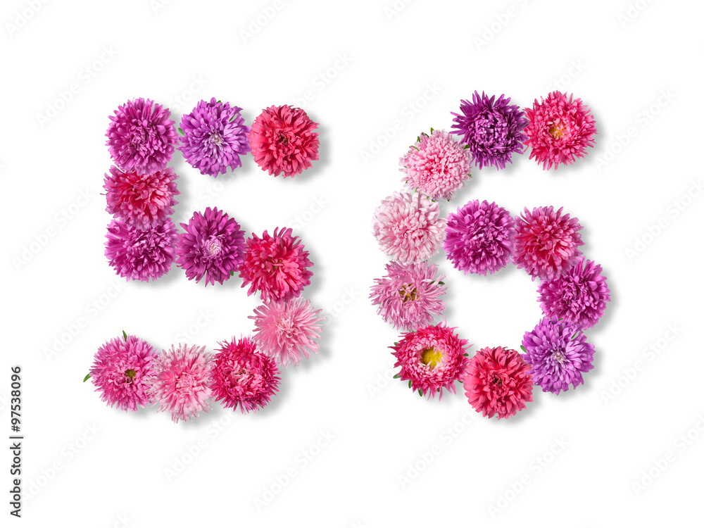 figures 5 and 6 of the bright asters on a white background