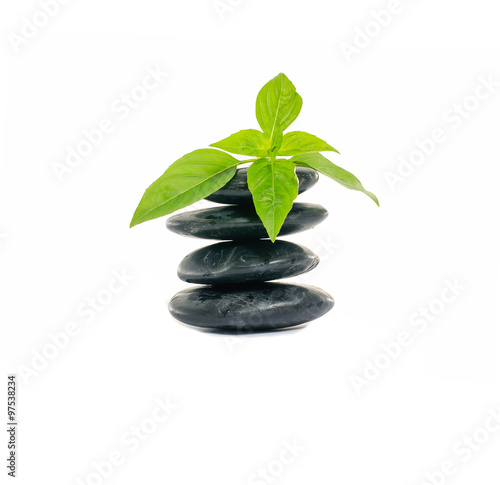 Stacked black stones and green leaf 