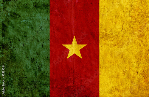 Grungy paper flag of Cameroon