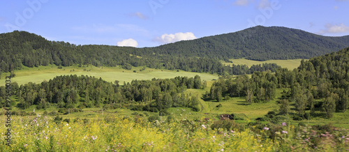 Beautiful summer landscape of Altai Mountains.