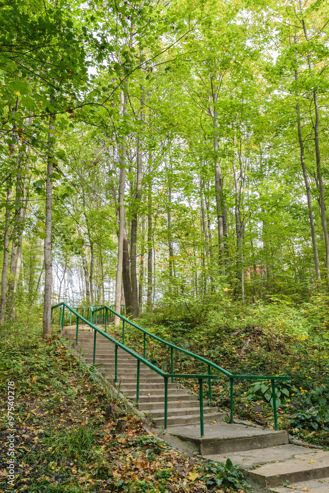 Concrete stairs with a handrail in a summer green forest Concrete stairs with a handrail in a summer green forest