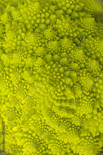 ロマネスコ ブロッコリー Romanesco broccoli Fractal design