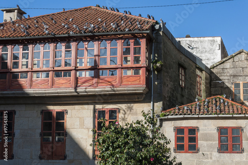 Pigeons on the tiled roof. Photo taken in the Herreria Square, Pontevedra, Spain. © ihervas