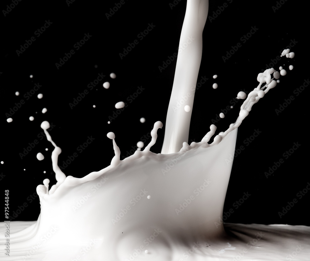 Pouring milk splash on black background.