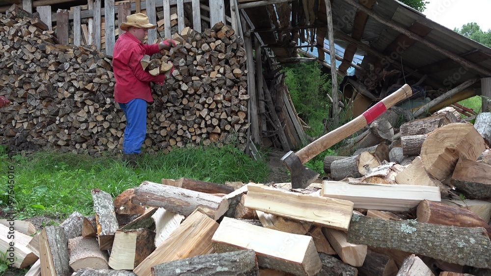 Village worker man guy stack chopped firewood near woodshed. Natural fuel preparation works in village. Static shot. 4K Village worker man guy stack chopped firewood near woodshed. Natural fuel preparation works in village. Static shot. 4K