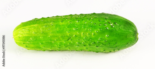 tasty vegetable cucumber 