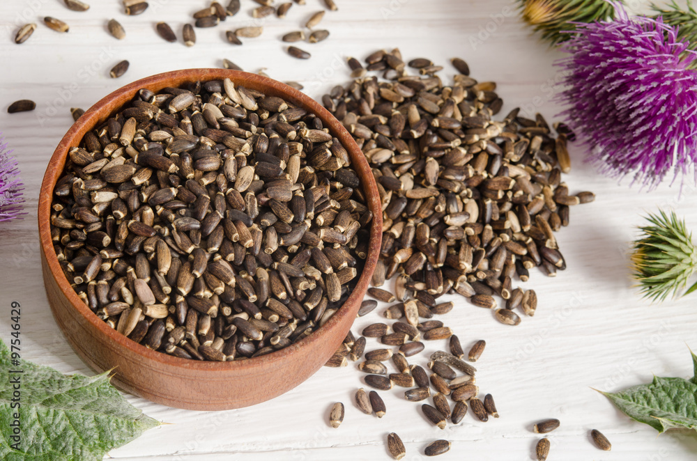 Seeds of a milk thistle (Silybum marianum, Scotch Thistle, Maria Seeds of a milk thistle (Silybum marianum, Scotch Thistle, Maria