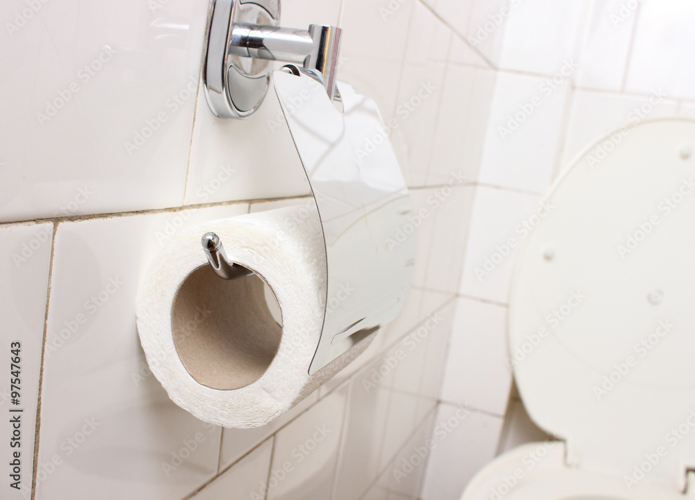 Fototapeta premium Toilet paper