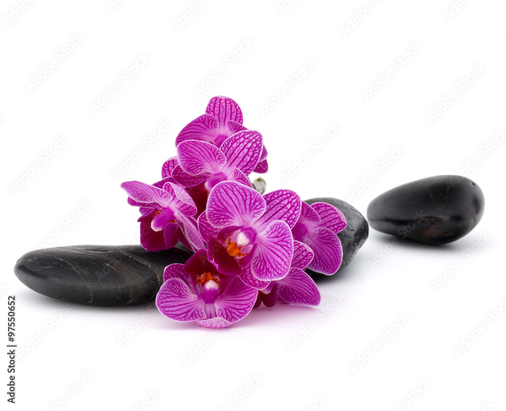Fototapeta premium Zen pebbles and orchid flower. Stone spa and healthcare concept.