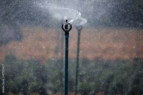 water sprinkler