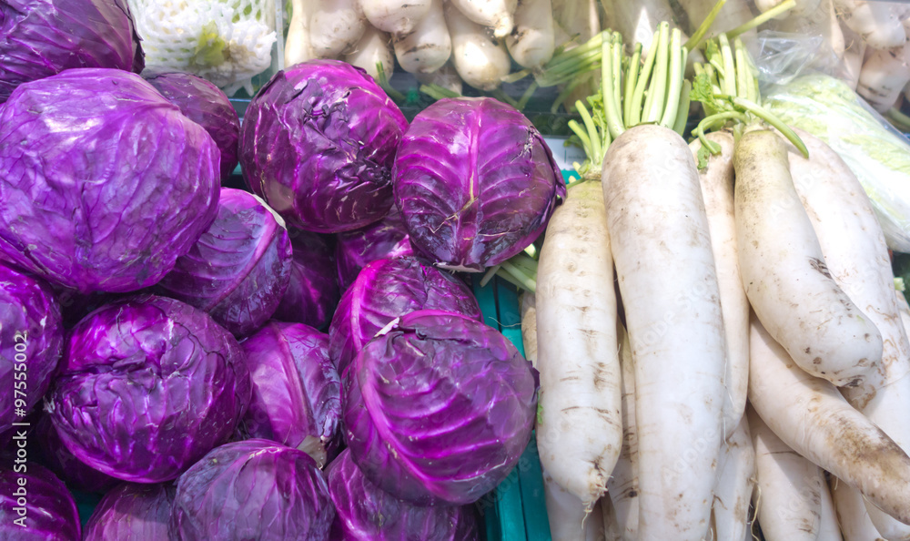 Fototapeta premium red cabbages and dajkons