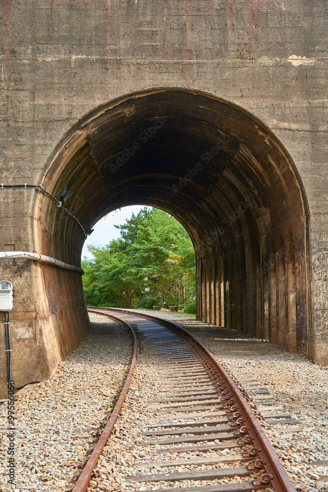 Obraz premium Old train tunnel