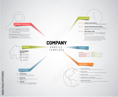 Vector Company infographic overview design template