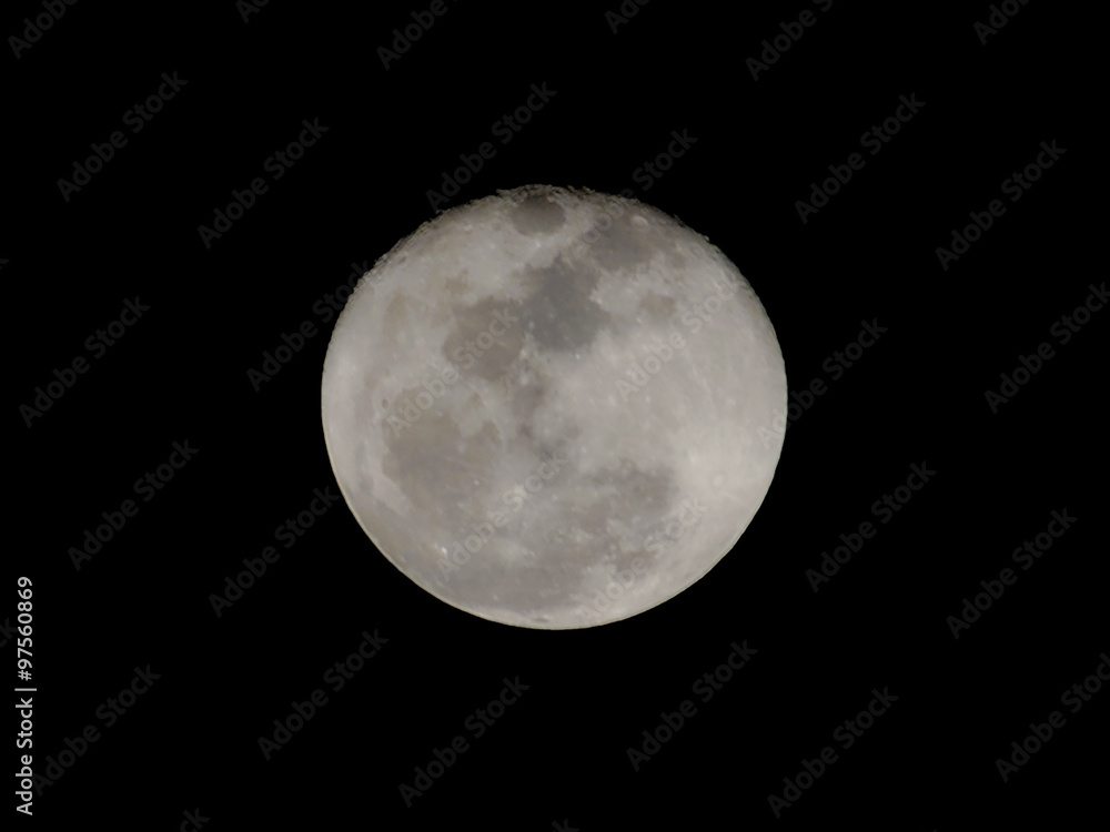 Fototapeta premium the moon