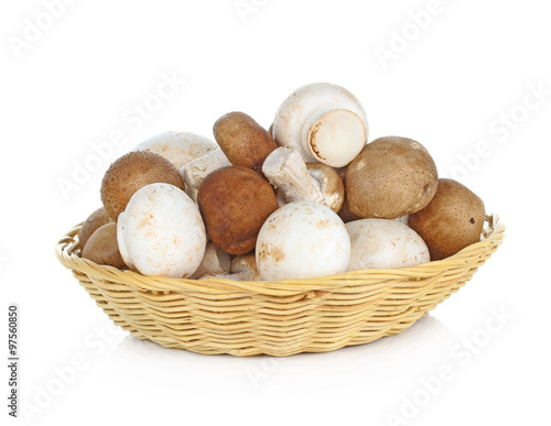 shiitake and champignon mushroom in basket isolated on white ba