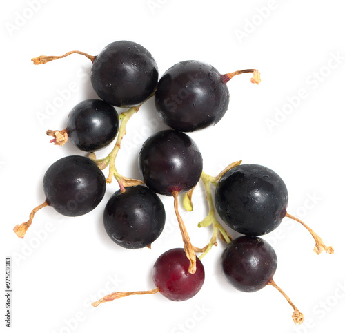 ripe blackberry on a white background