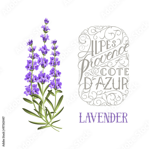 The lavender elegant card.