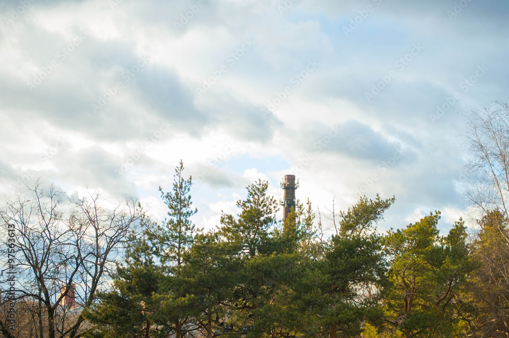 Obraz premium sky, crown and clouds