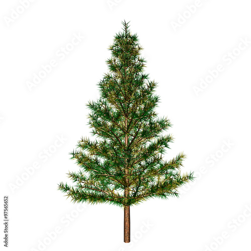 Εκτύπωση καμβά Fir-tree