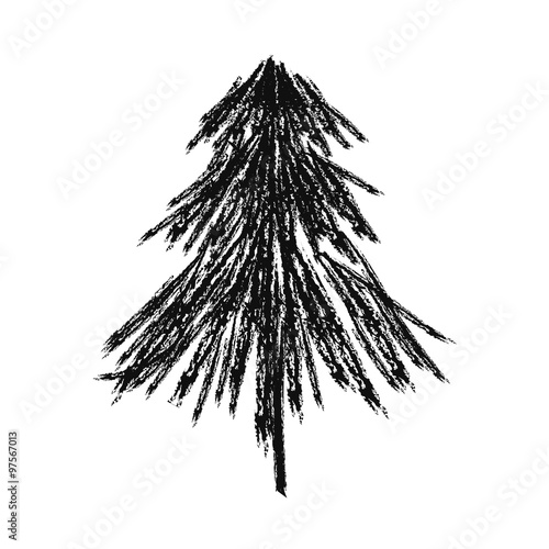 fir tree