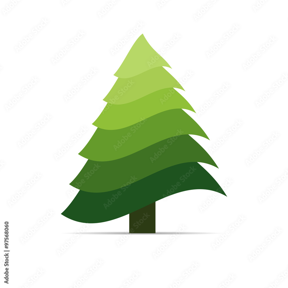 Obraz premium Spruce