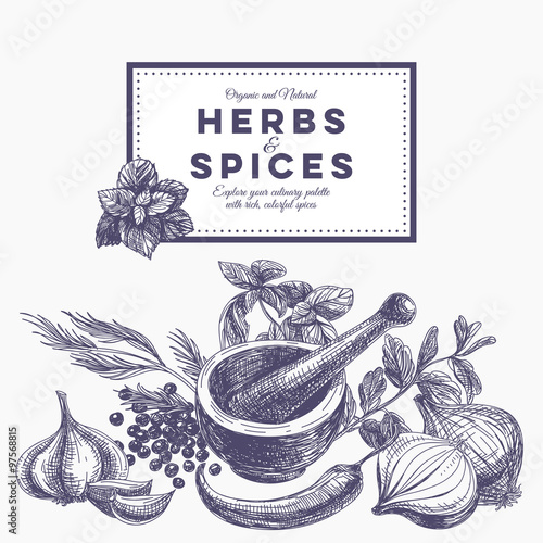 Vector background with hand drawn herbs and spices. 