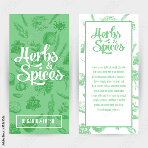 Vector banners set with hand drawn herbs and spices.