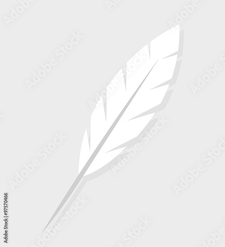 White straight feather